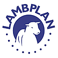 lambplanlogo